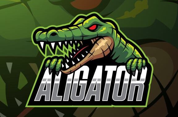 Alligator Esport A Primer