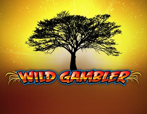 Wild Gambler